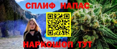 хмурый Кингисепп