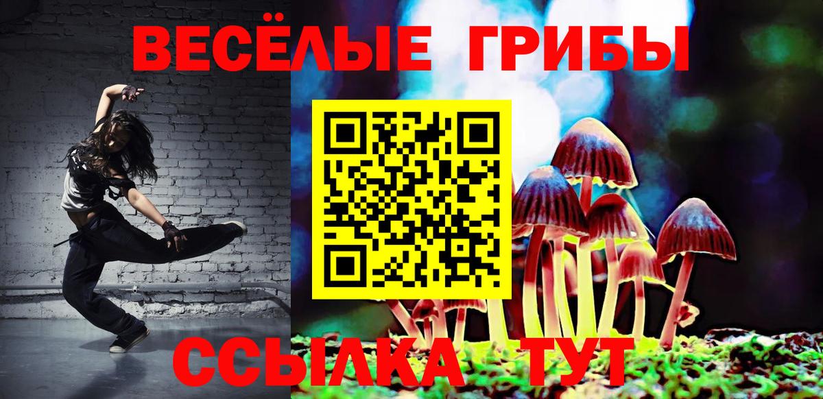 Галлюциногенные грибы GOLDEN TEACHER Кольчугино
