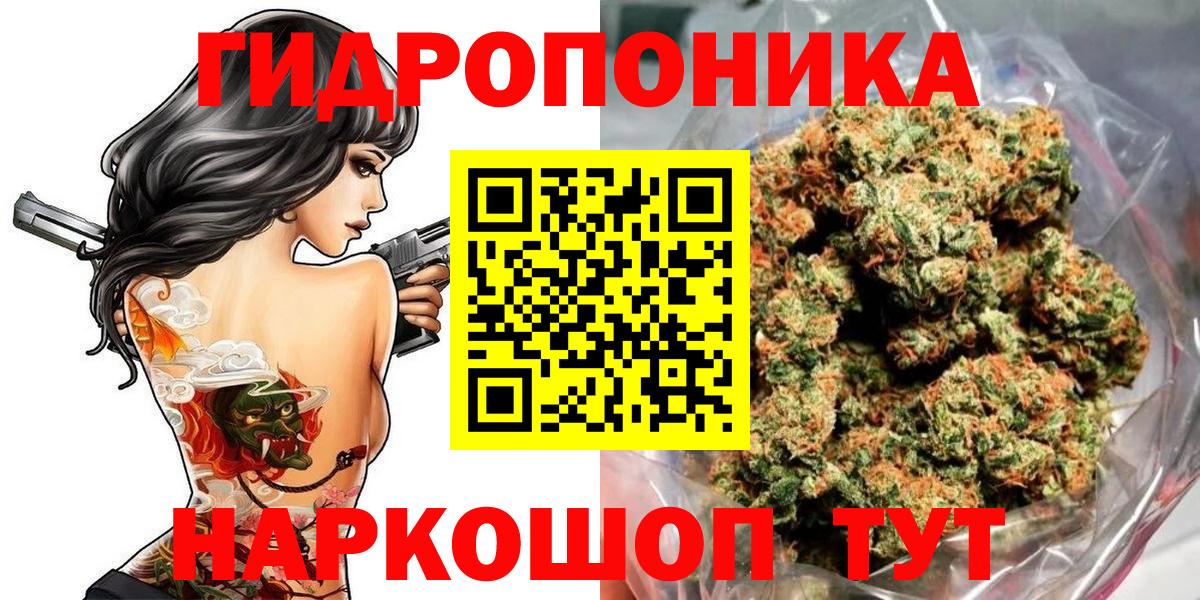 Кольчугино  Бошки марихуана планчик  Вход с VPN  МАРИХУАНА конопля  Конопля тримм 